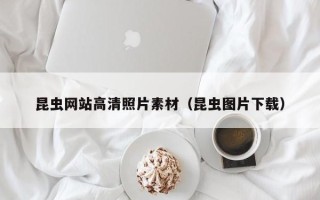 吉安昆虫网站高清照片素材（昆虫图片下载）
